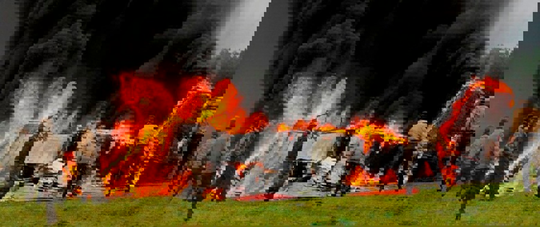 Image /media/inxfaaqm/redt1073_kopie_mensi1.jpg