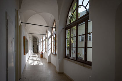 Image /media/ixehamgl/_dsc9299.jpg