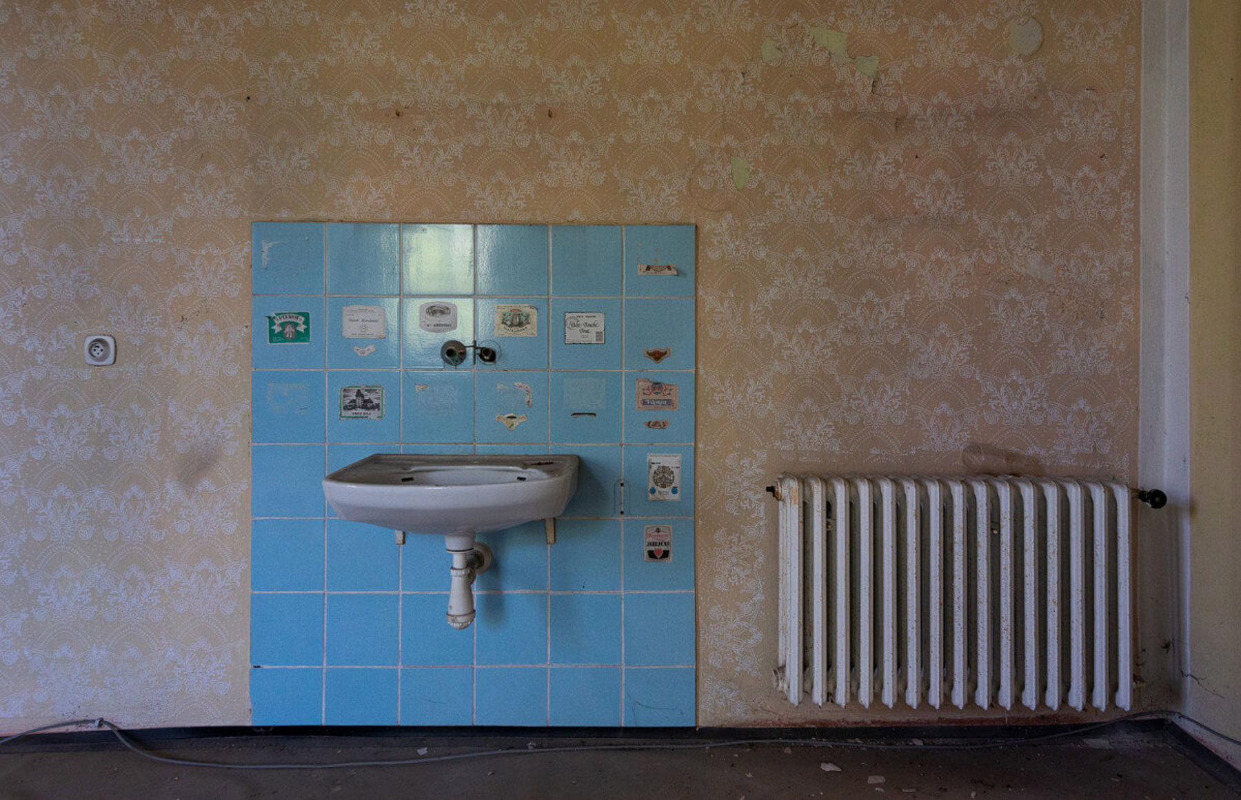 Image /media/ixtpabc3/dsc_0235.jpg