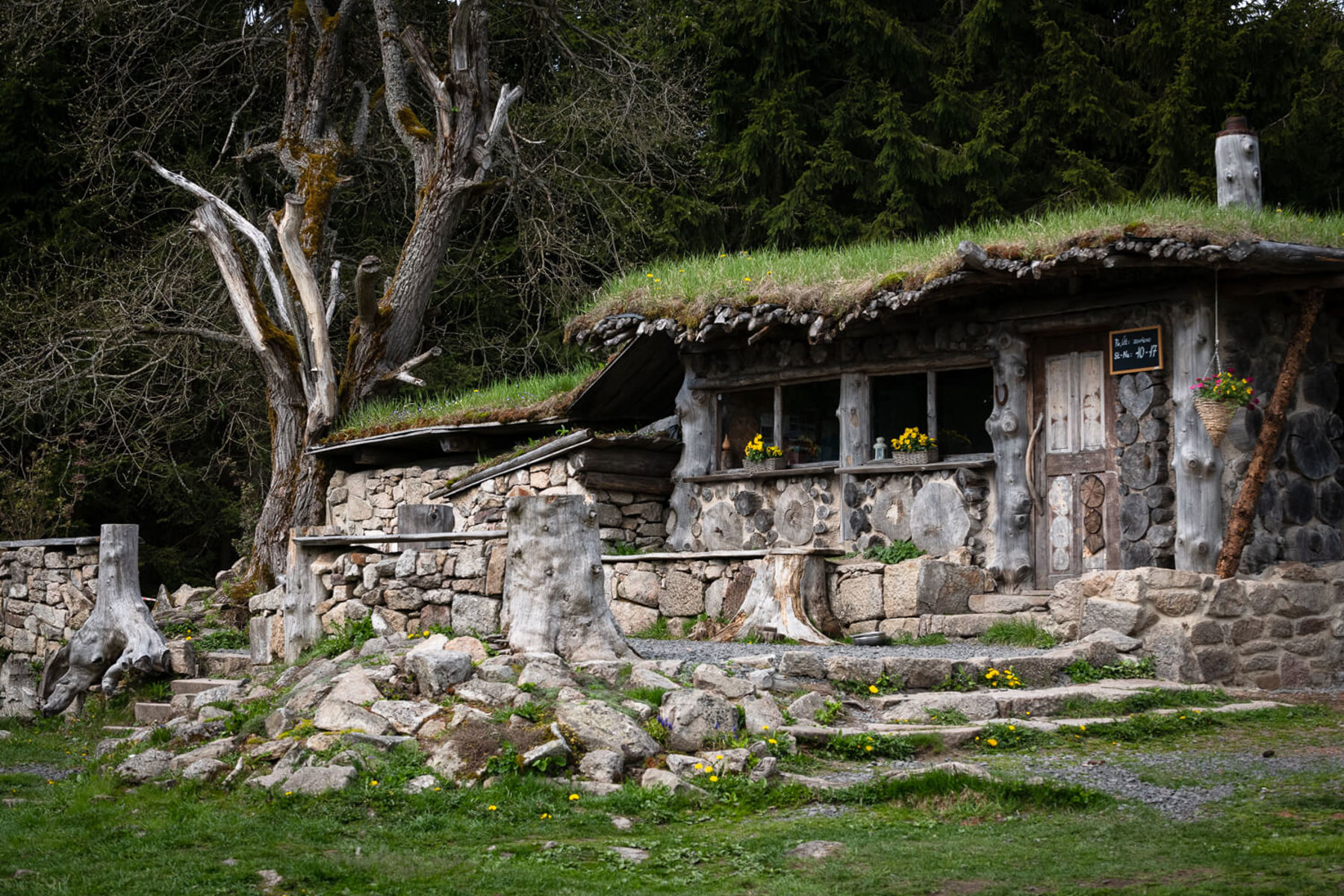 Image /media/izpnj5b5/dsc8097.jpg