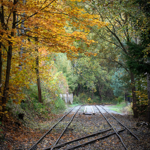 Image /media/j3xn41fz/_dsc3250.jpg