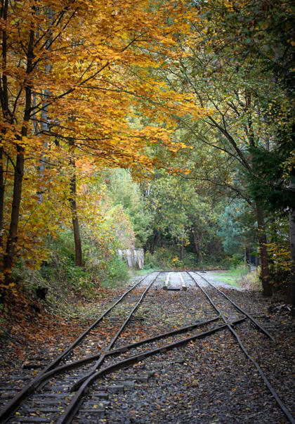 Image /media/j3xn41fz/_dsc3250.jpg