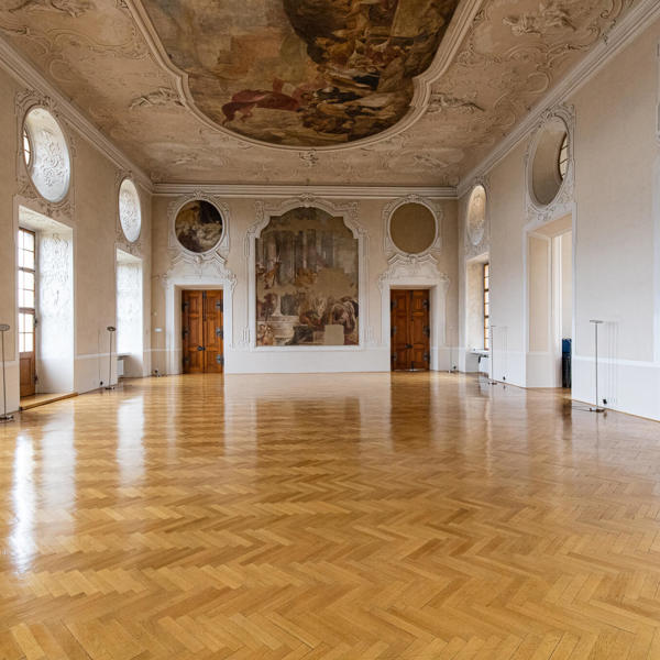 Image /media/jfpp1ves/img_4377.jpg