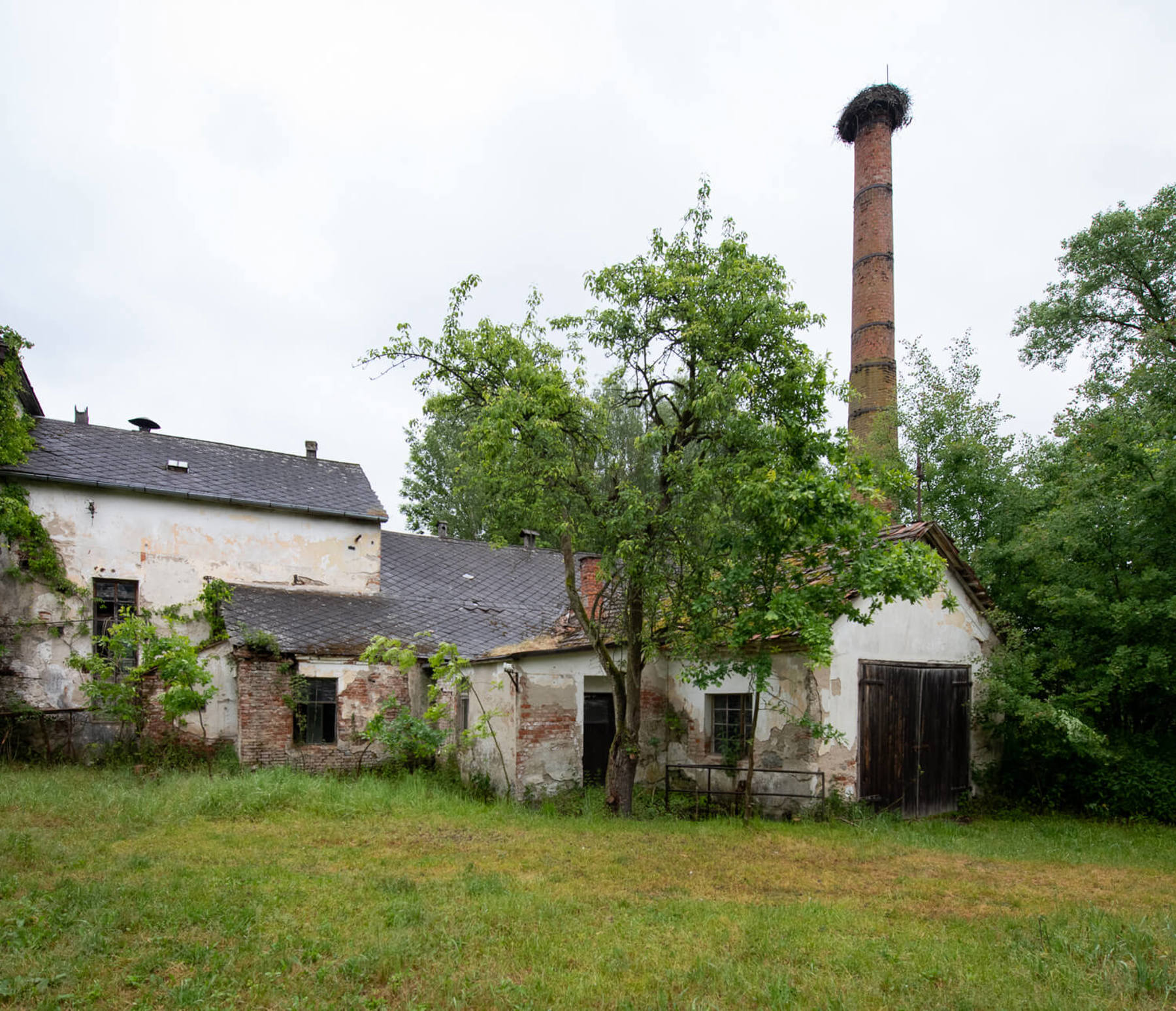 Image /media/jjph5jou/dsc0436.jpg