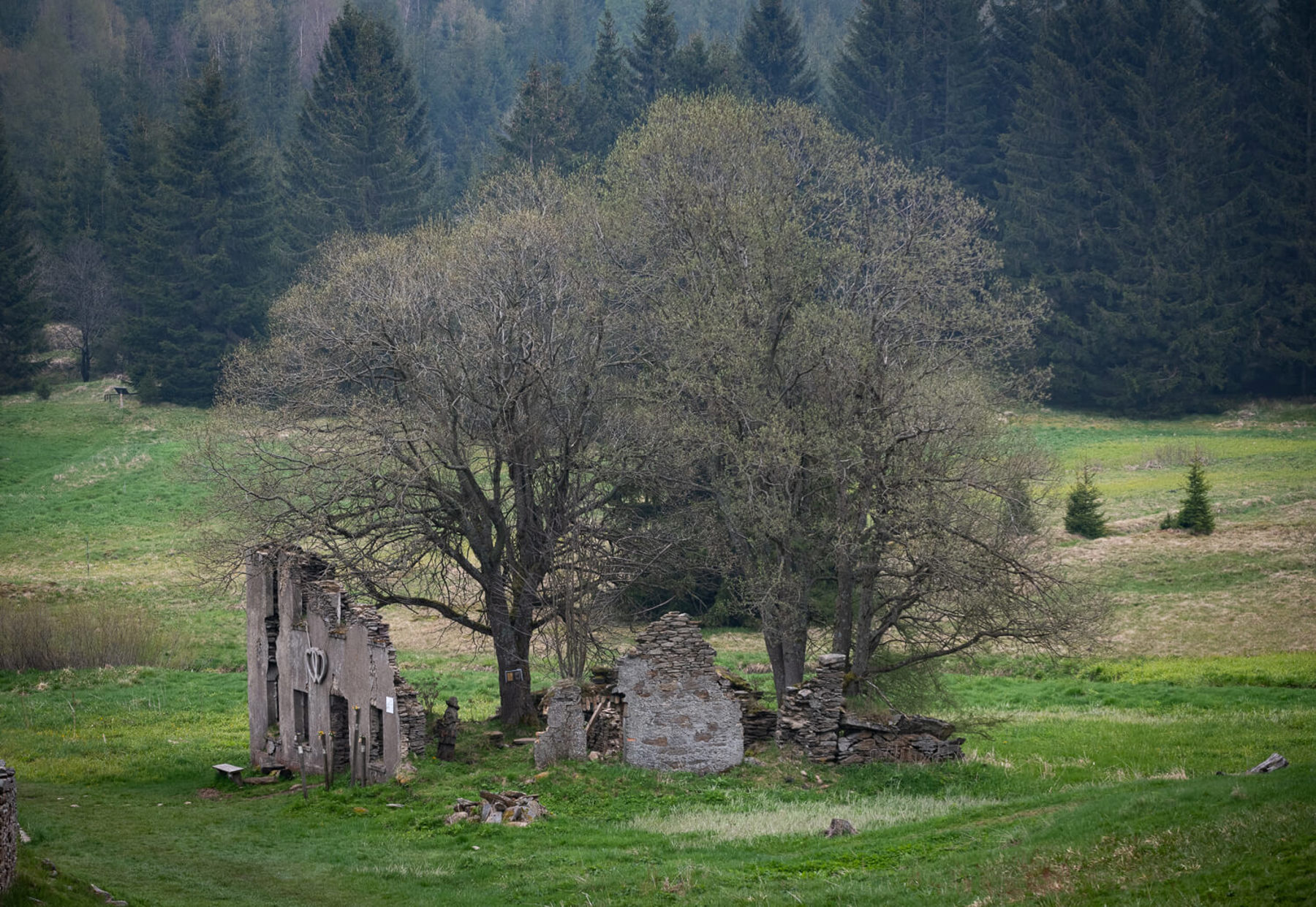 Image /media/jnif3qe1/dsc8401.jpg