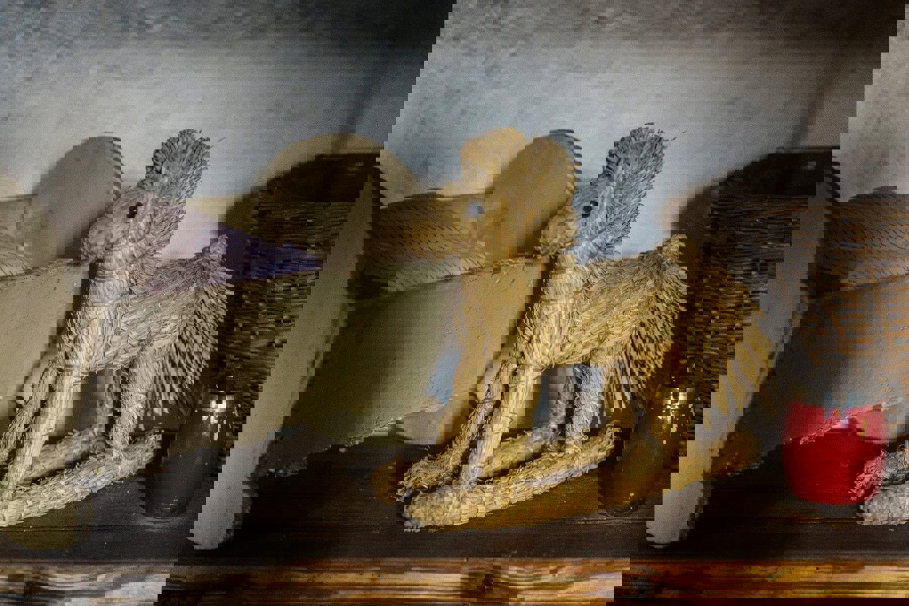 Image /media/jpyootyh/wesselsky_007.jpg