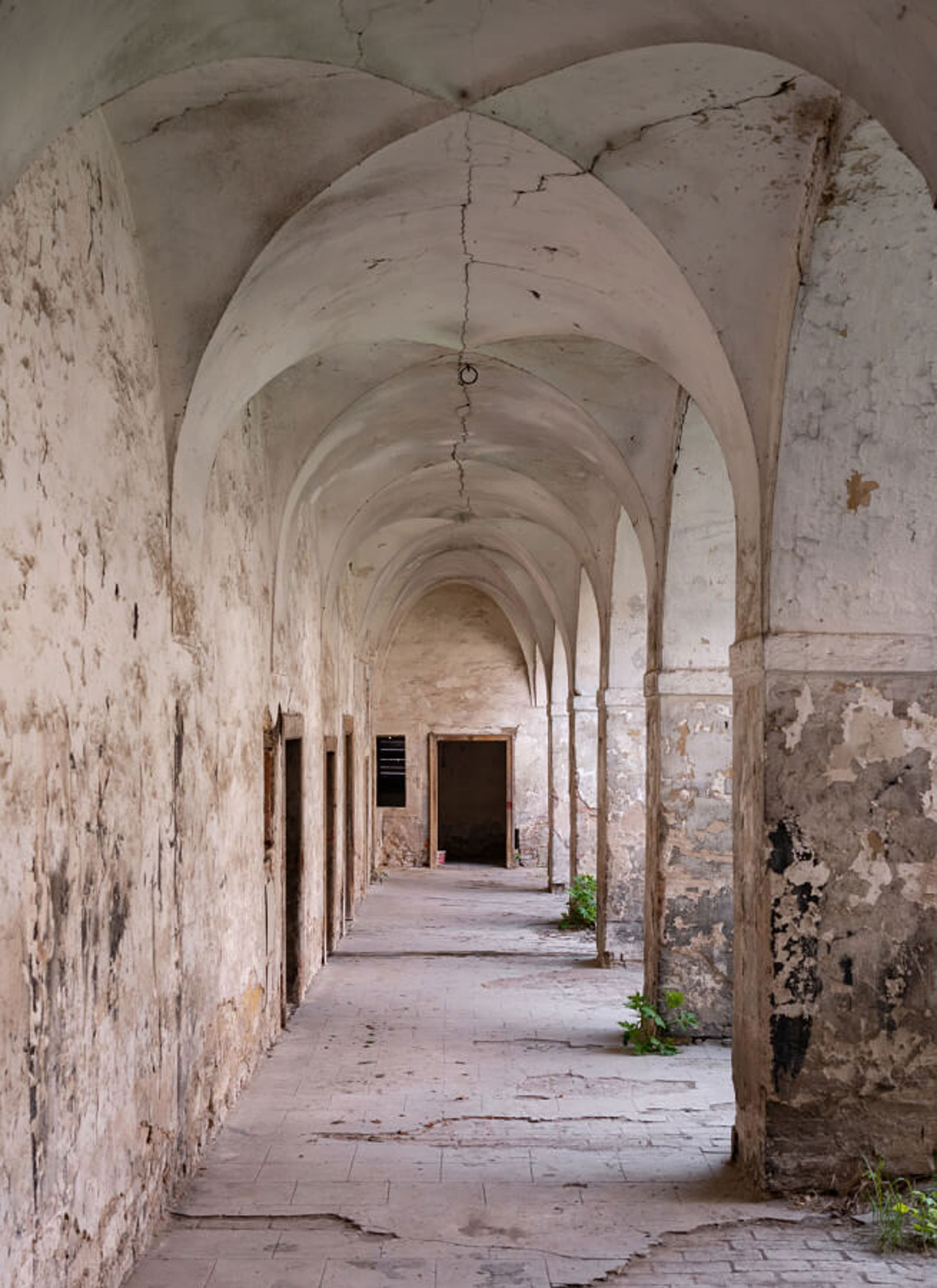 Image /media/jslljzx0/dsc_0308.jpg