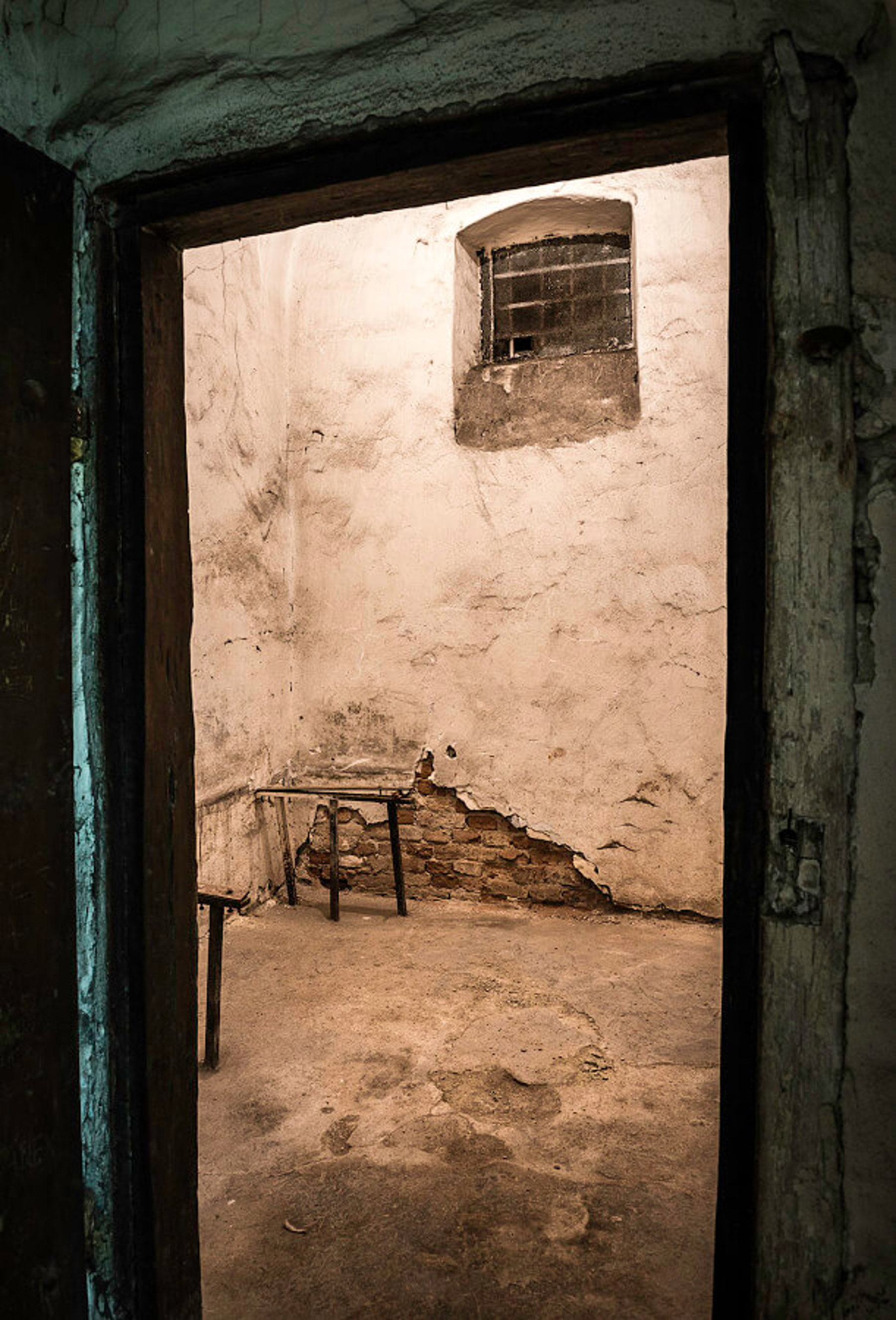 Obrázek /media/juuj5ubx/dsc_1131.jpg