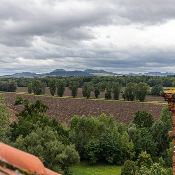 Obrázek /media/jxle522x/zamek_patek_thasl26.jpg