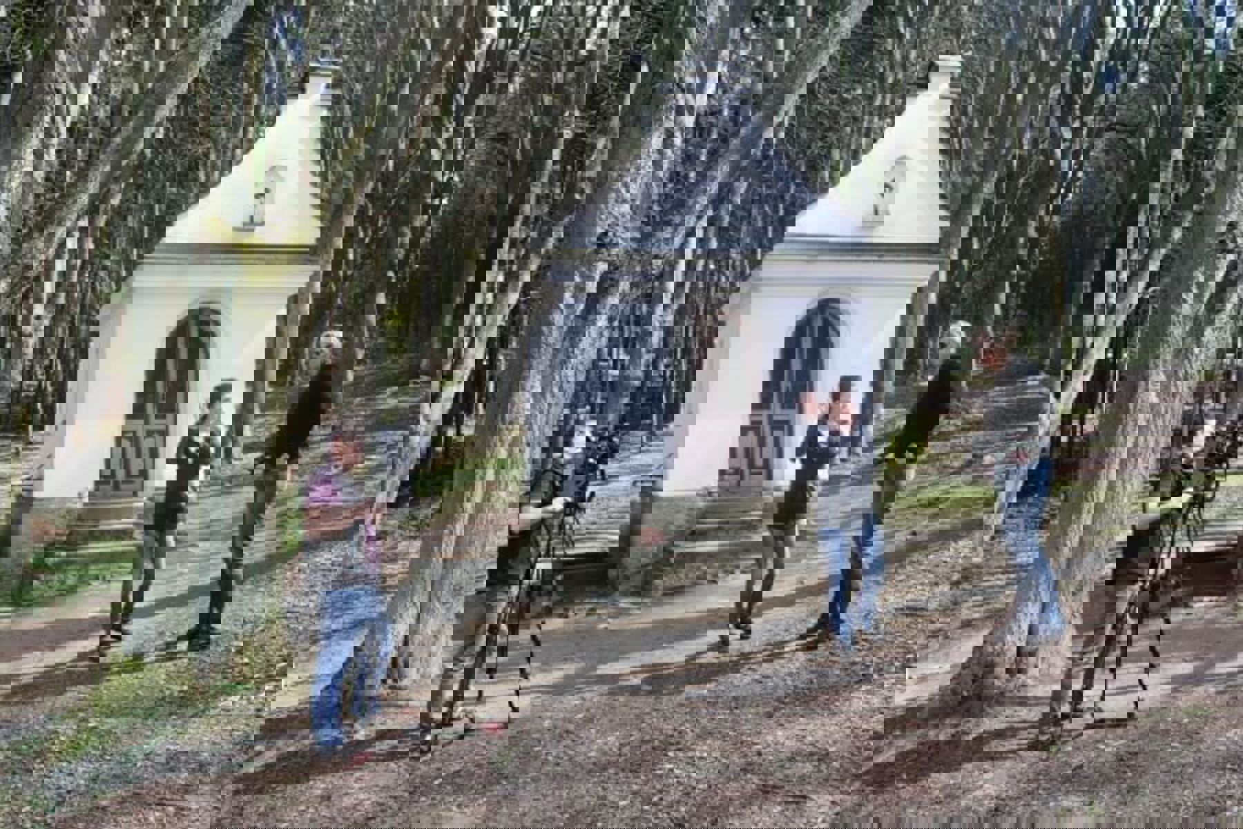 Obrázek /media/k0qlozfx/sumperk_4.jpg