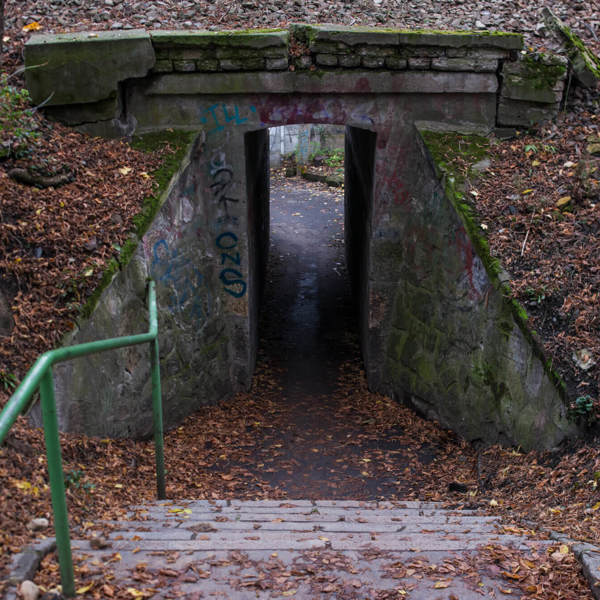 Image /media/k0vph3b2/dsc_4989.jpg
