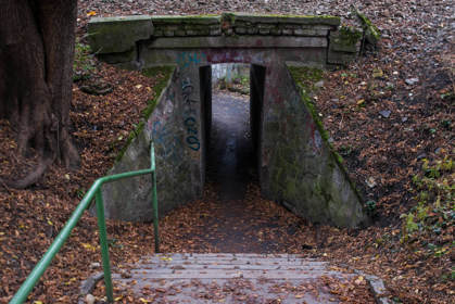 Image /media/k0vph3b2/dsc_4989.jpg