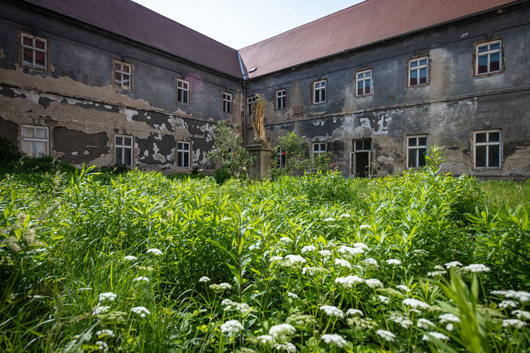 Image /media/k1jnatbi/_dsc7727.jpg