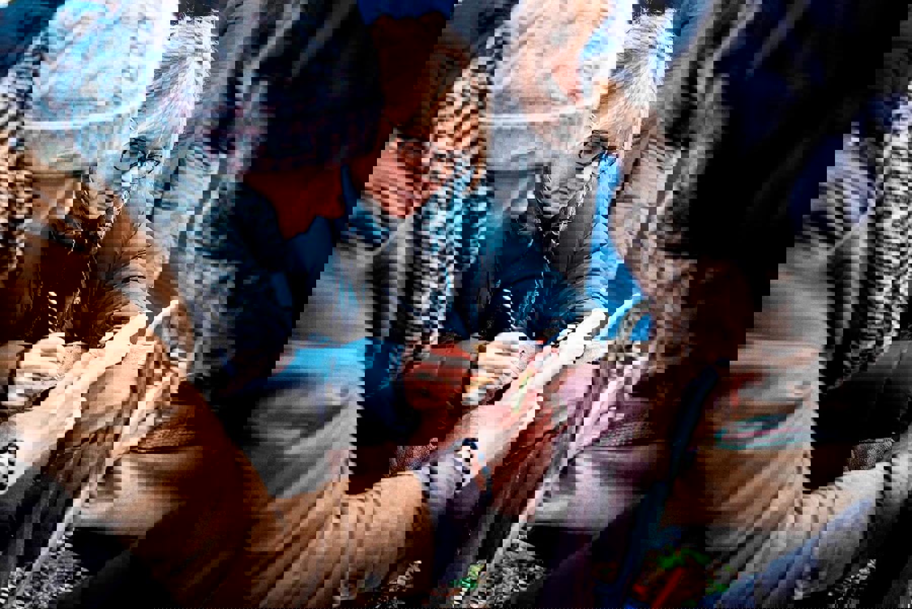 Obrázek /media/k1pmkypo/20161121-_bri4899_-_britannia.jpg