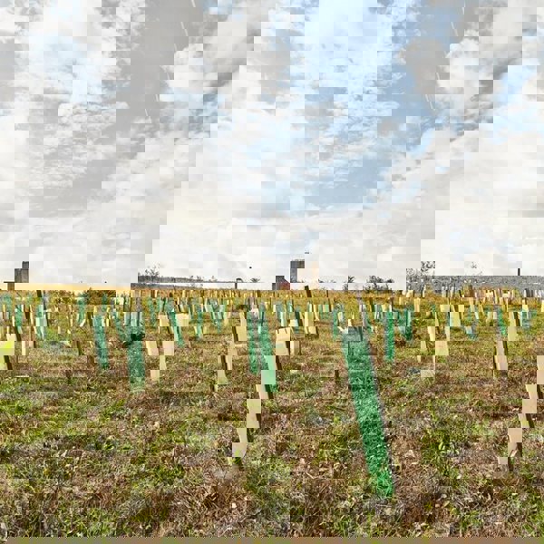 Image /media/kcsi0h2m/karel_kita_-_moravskoslezske_investice_a_development_82.jpg