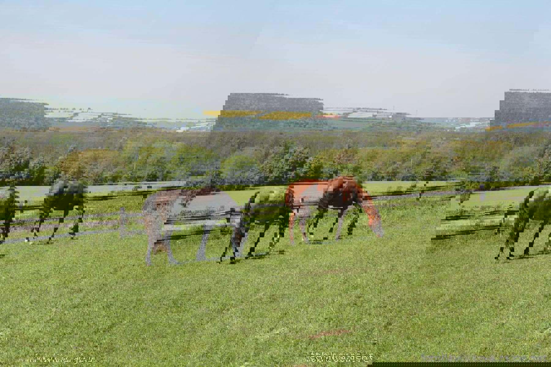 Image /media/kfgbvxip/img_4008.jpg