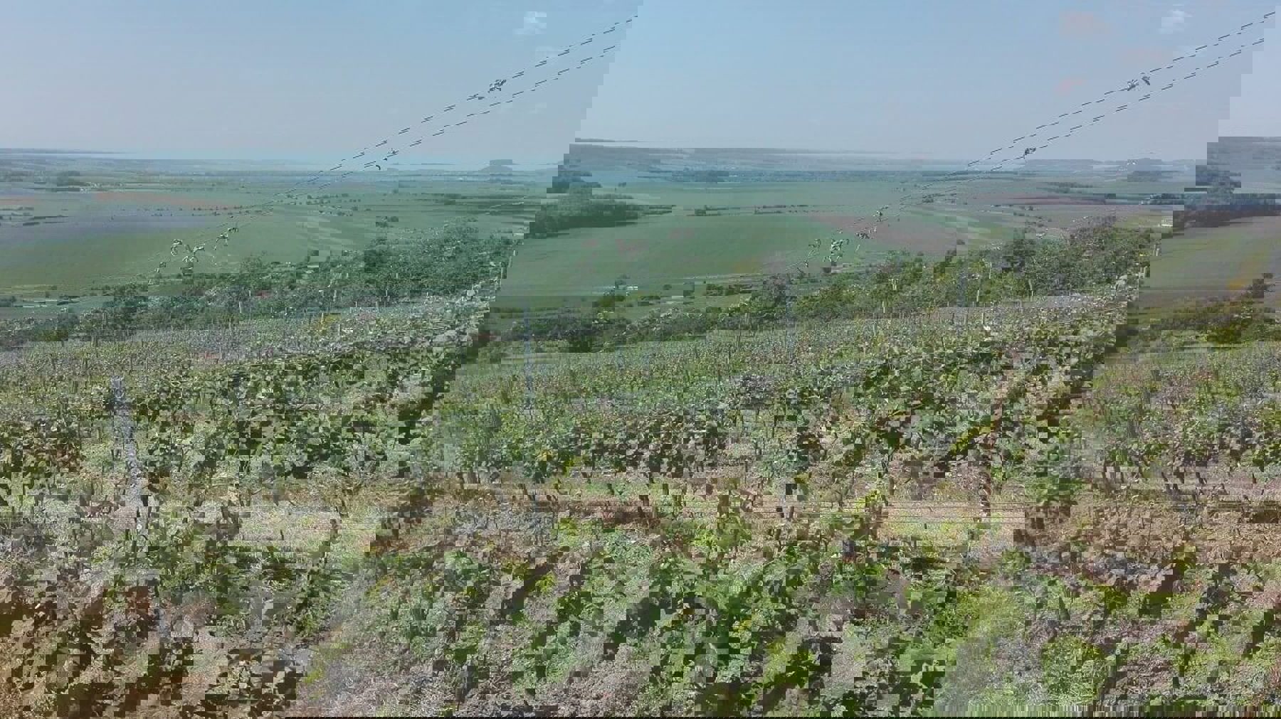 Image /media/kkclupc4/img_20170601_104036.jpg