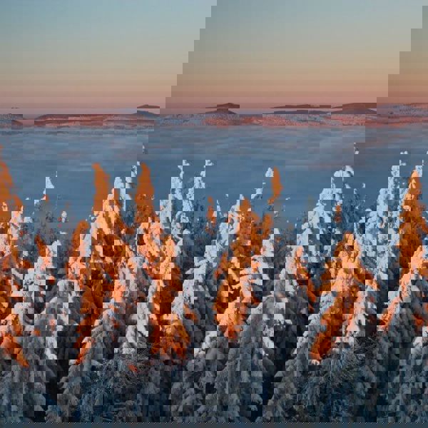 Image /media/kp4ghaor/nature_zima_jensovsky.jpg