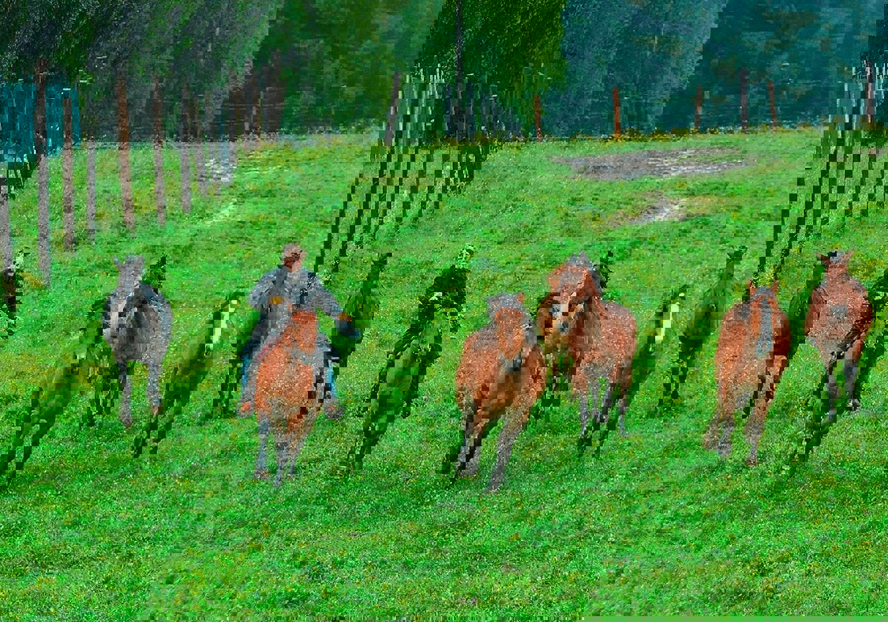 Image /media/kprbd0hn/kriminalka_modrava_2013-06-03_074.jpg