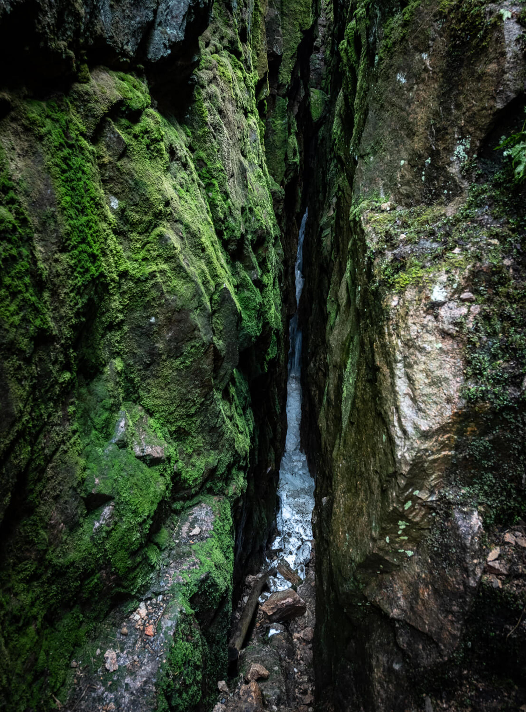 Image /media/krfif1nf/dsc8000.jpg