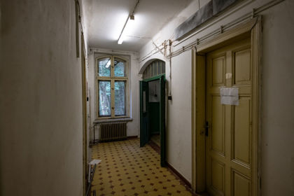 Image /media/ktgji2ag/_dsc9598.jpg