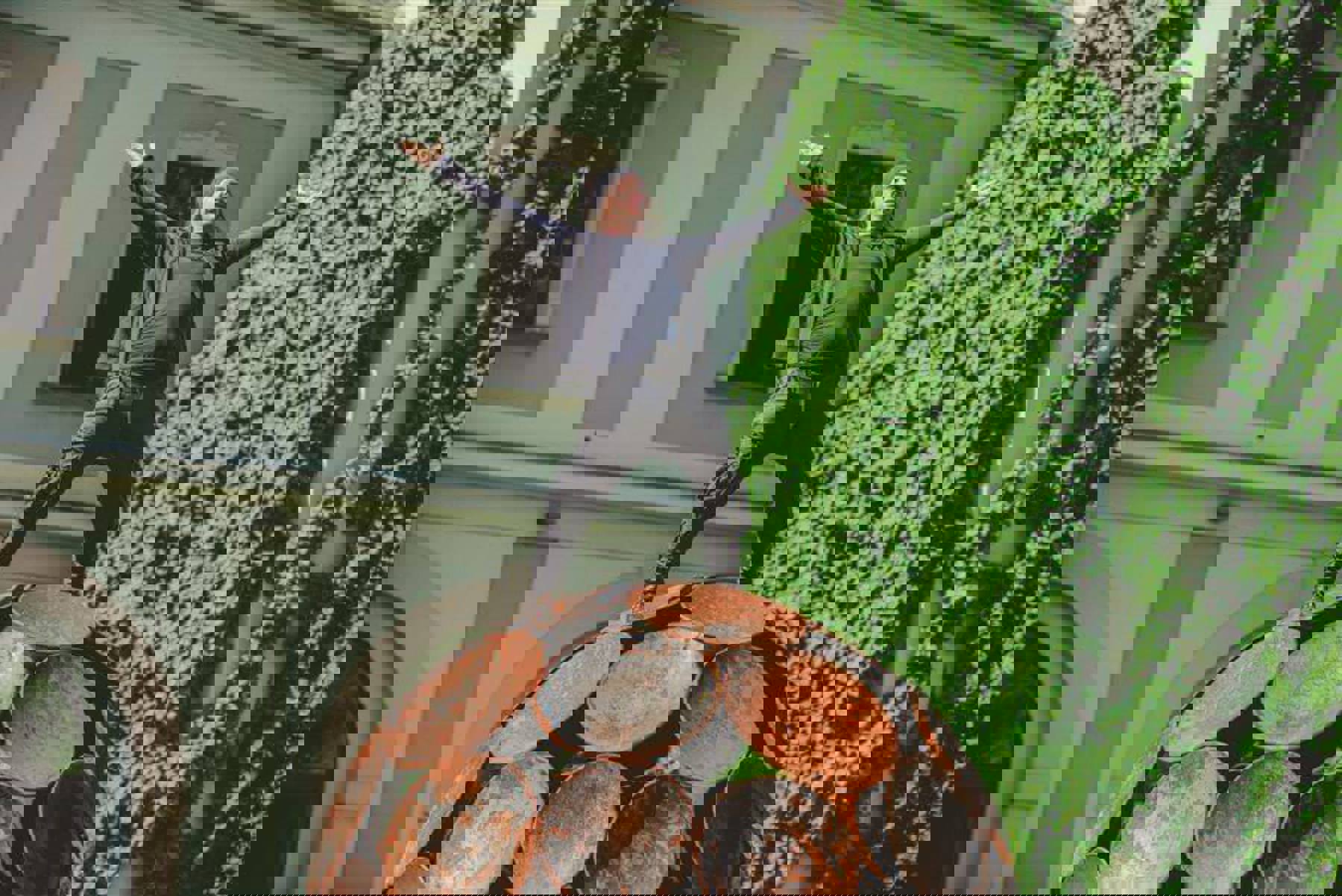 Obrázek /media/kwvfm1oy/dsc8295.jpg