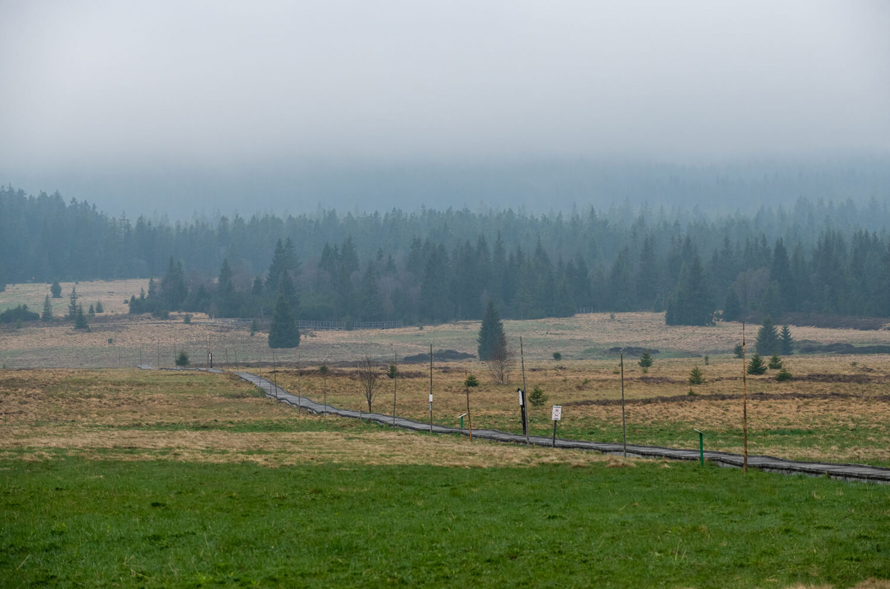 Image /media/l0jnds32/dsc8263.jpg