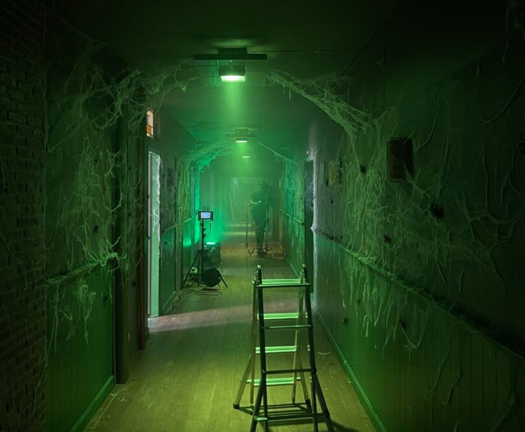 Image /media/l1cbnvme/arachnid_web.jpg