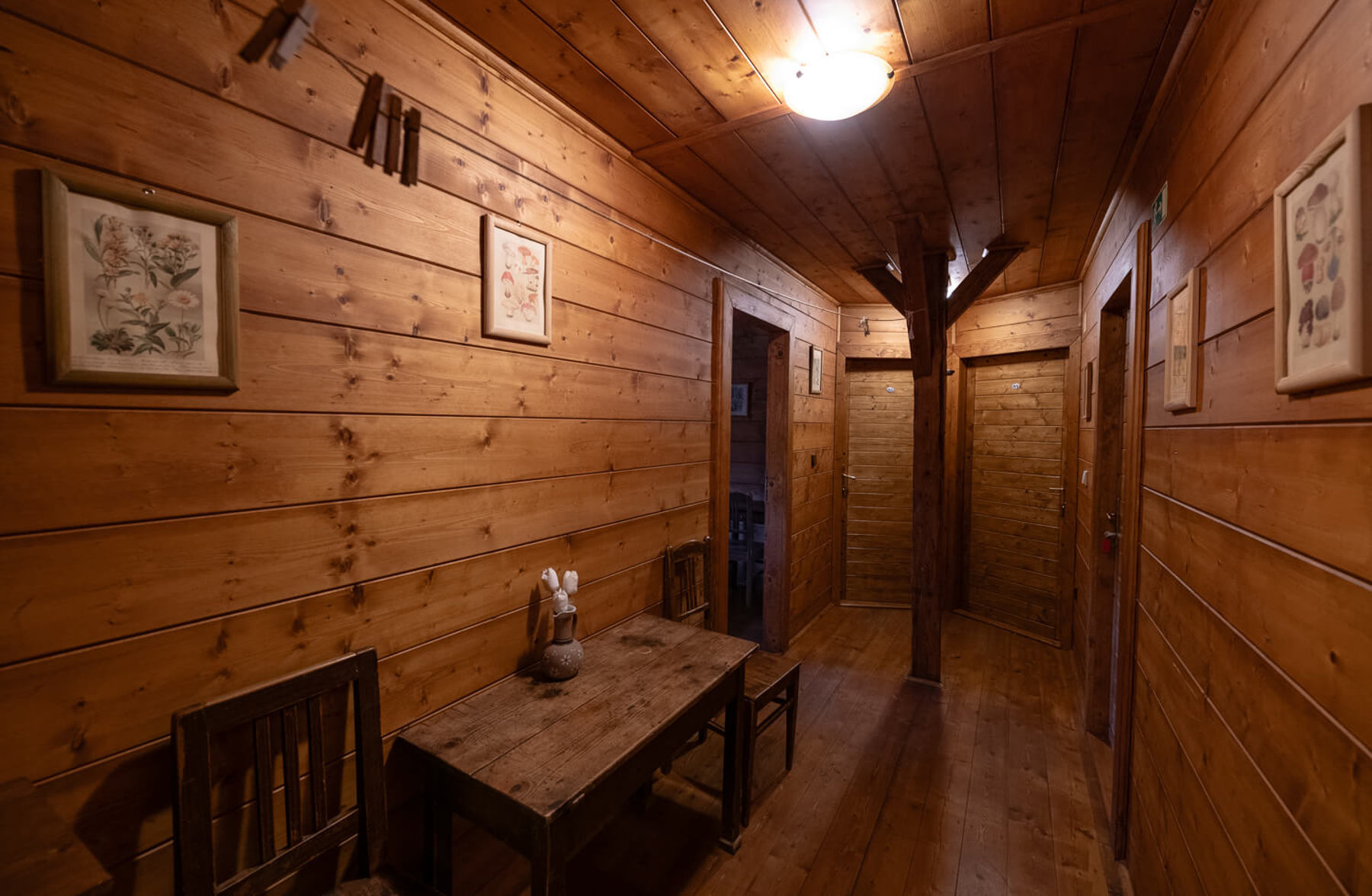 Obrázek /media/lfmkbwqp/_dsc1494.jpg