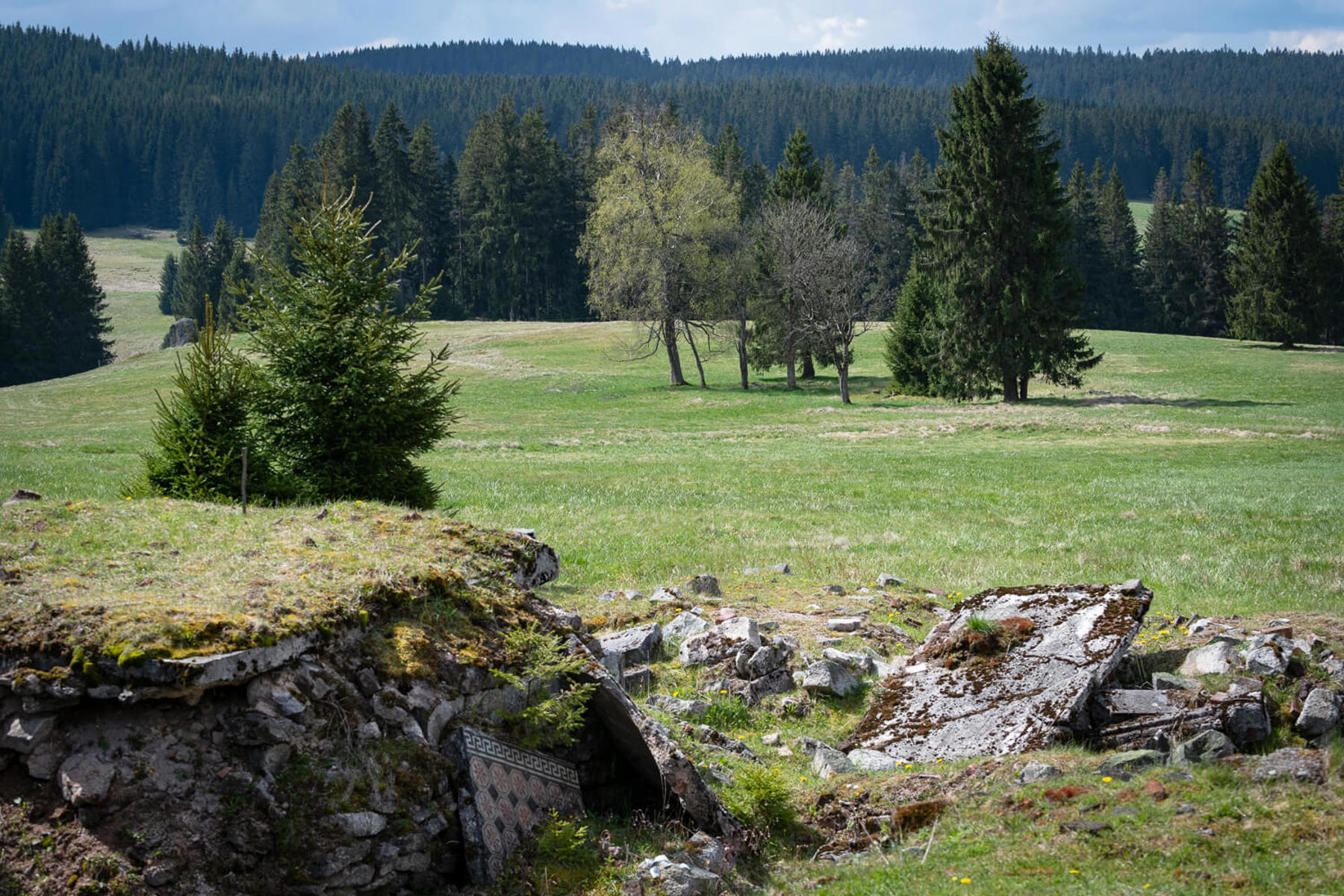 Image /media/lgbh2thh/dsc7893.jpg