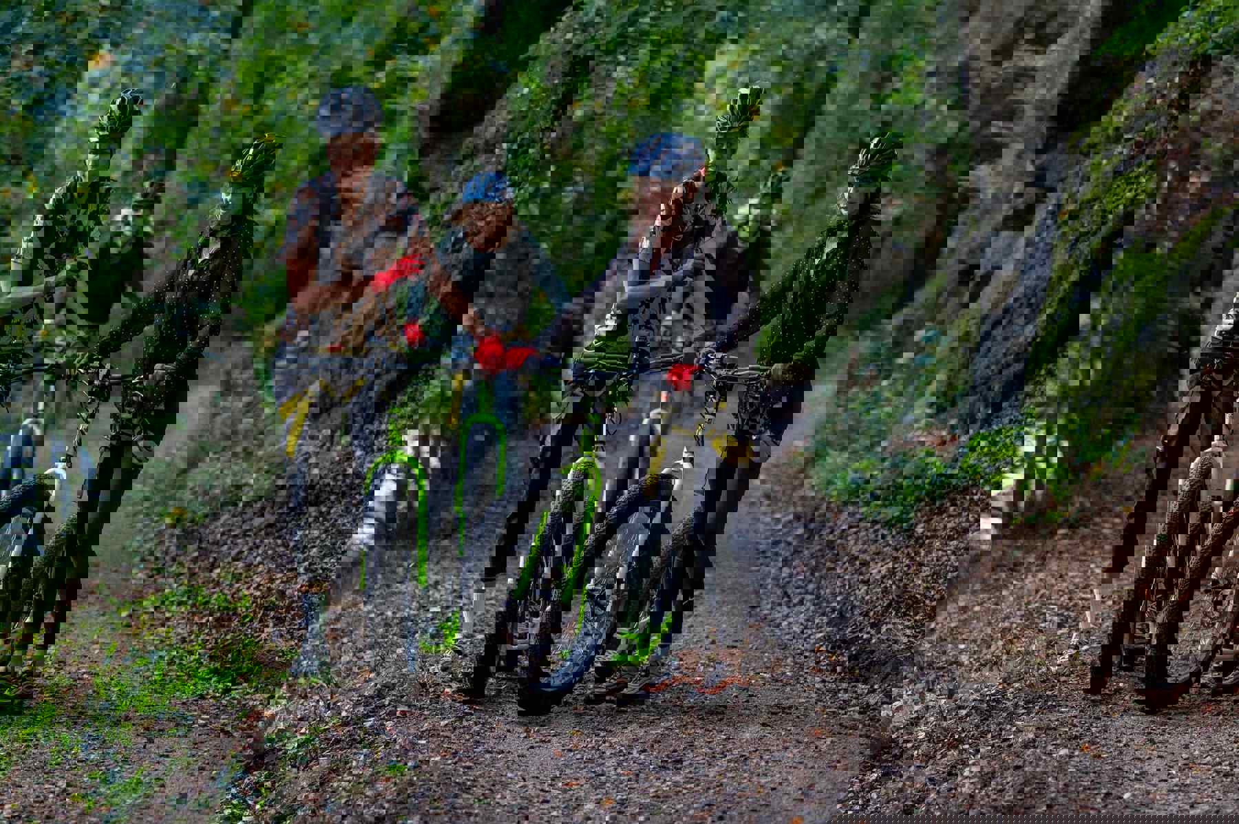 Obrázek /media/lhhj1kfu/svatosske_skaly__avrotros.jpg