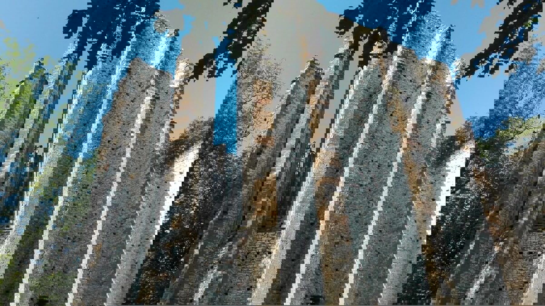 Image /media/lkzibiag/img_20170601_080509.jpg