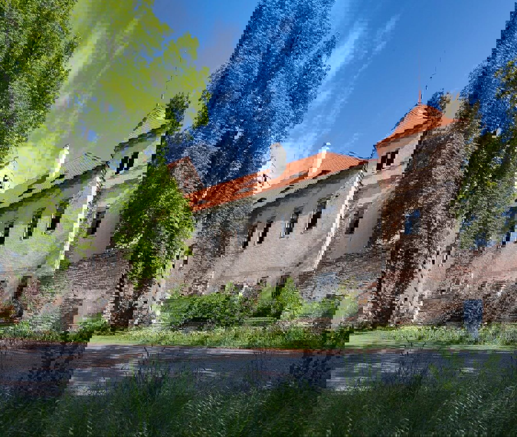 Image /media/lllpngnn/dsc_0193.jpg