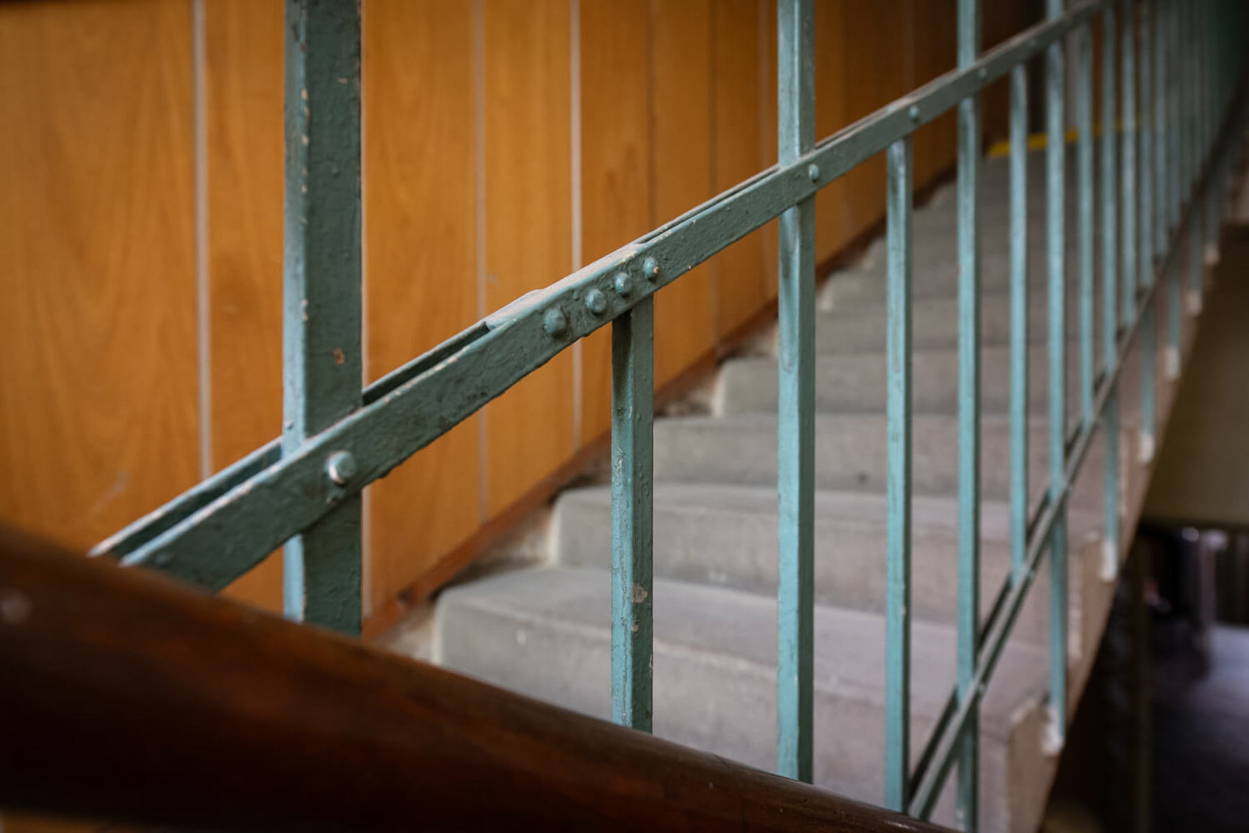 Image /media/lmgmuxoy/_dsc7673.jpg