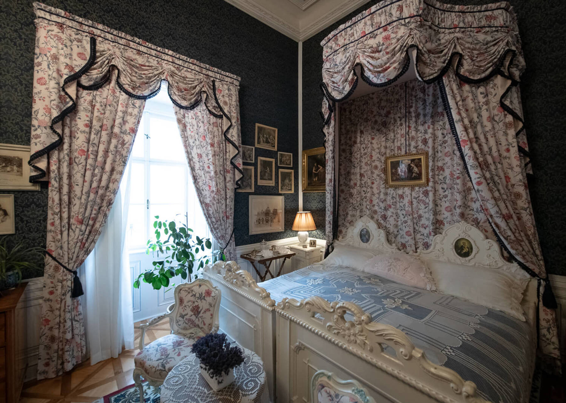 Obrázek /media/lripi3u3/dsc3100.jpg