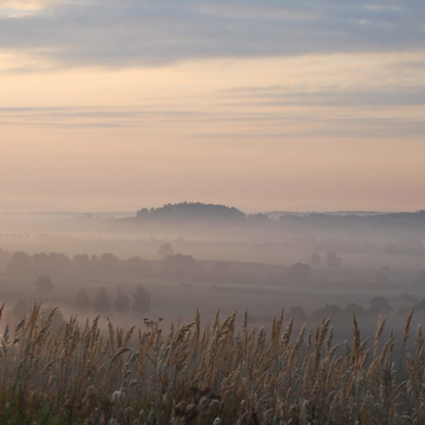 Obrázek /media/lwck0tvg/9___toulovcovy_mastale.jpg