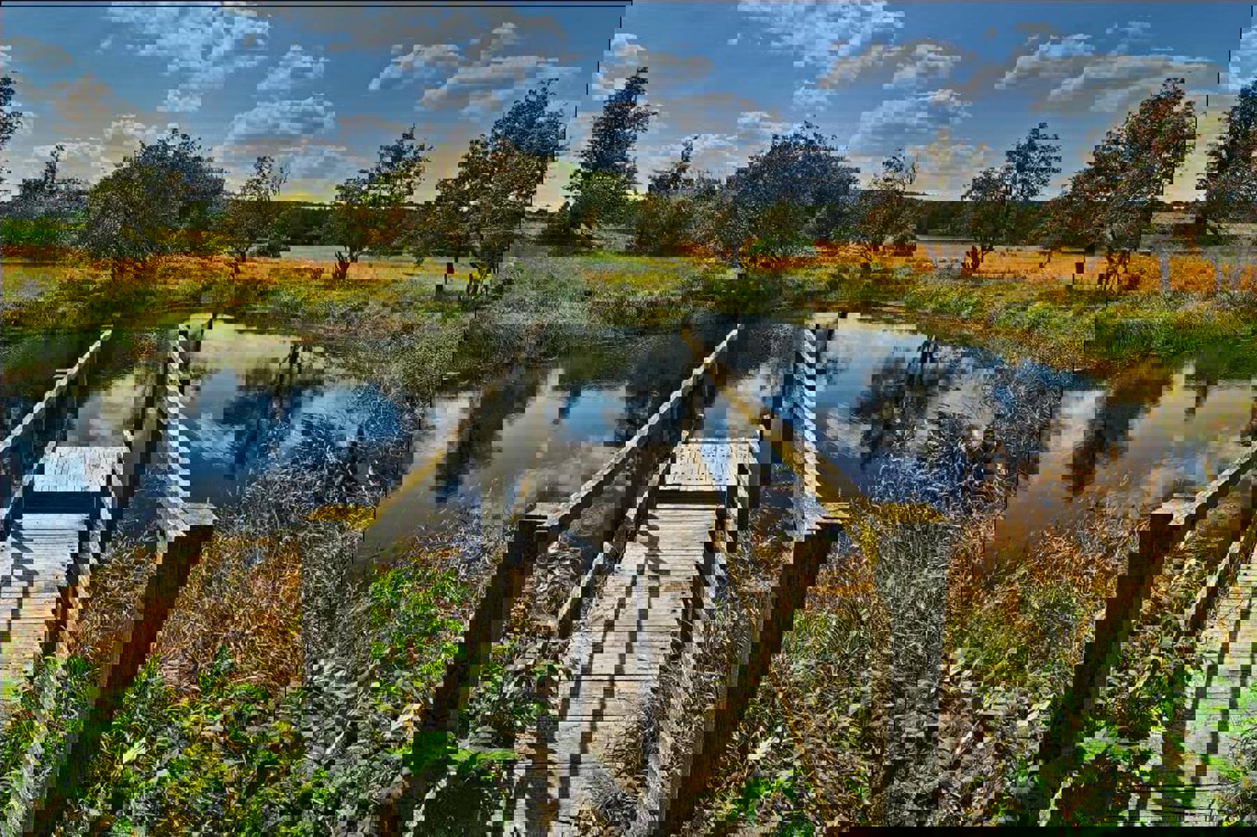 Obrázek /media/lwpjvmwz/krusnohorske_molo_-_bergr_15x10.jpg