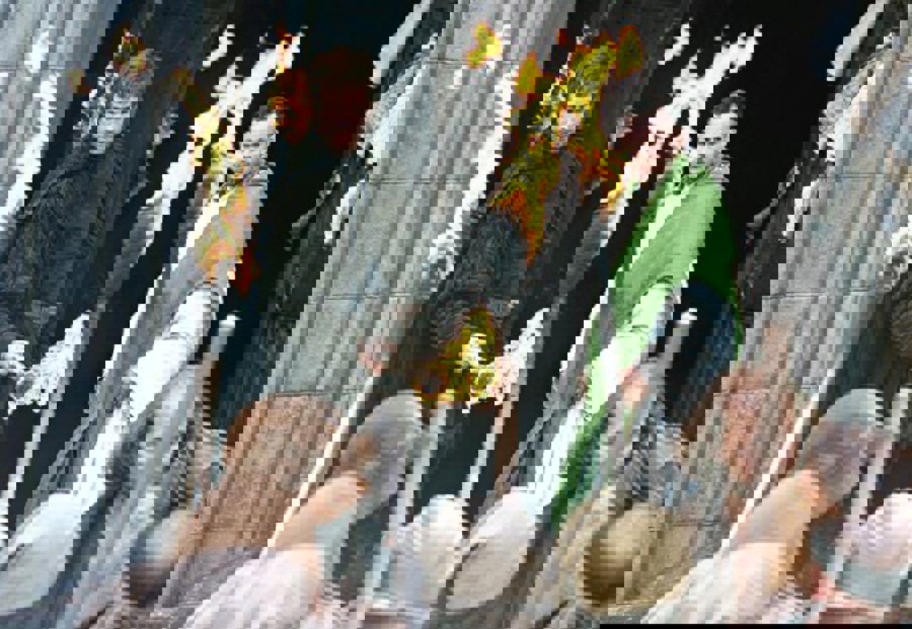 Image /media/lwsimibw/8313-113964.jpg