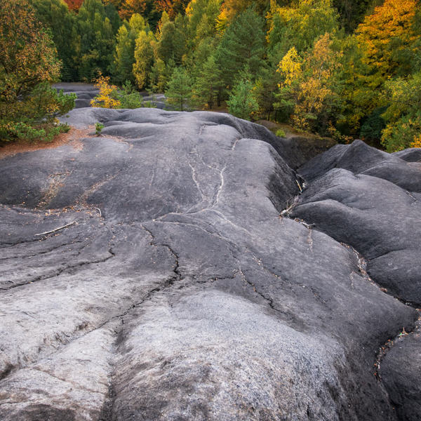 Image /media/m0xpa4kh/_dsc3269.jpg