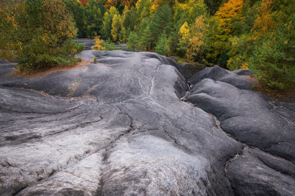 Image /media/m0xpa4kh/_dsc3269.jpg