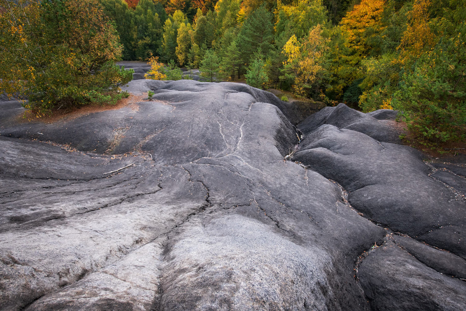 Obrázek /media/m0xpa4kh/_dsc3269.jpg