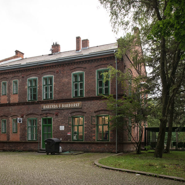 Image /media/m3nlzlqz/_dsc9587.jpg