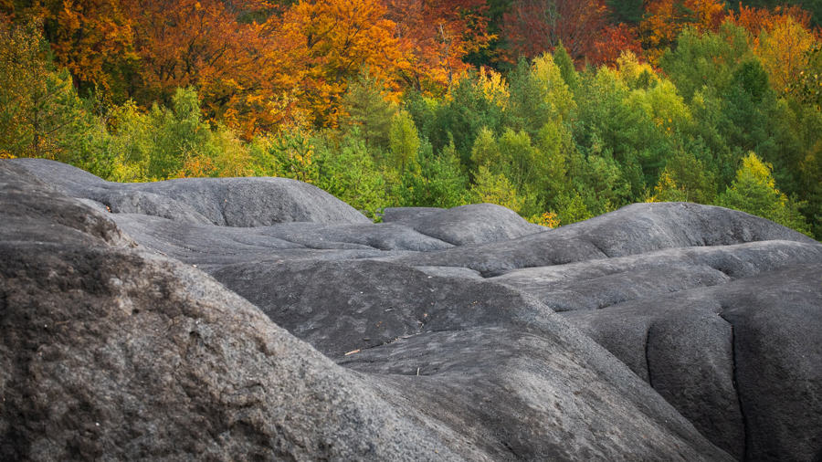 Ilustrační obrázek článku 'Hřebeč Mining Paths'