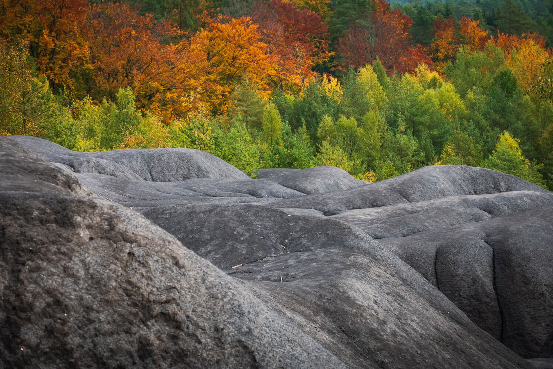 Obrázek /media/ma5hsq4r/_dsc3274.jpg