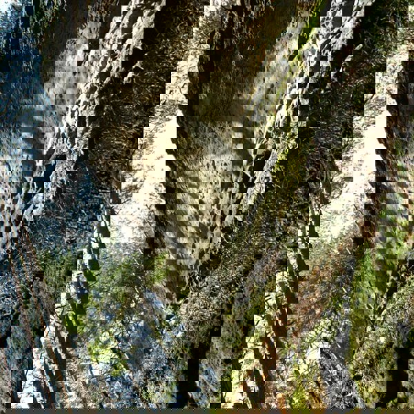 Obrázek /media/mbclswmi/19___toulovcovy_mastale.jpg