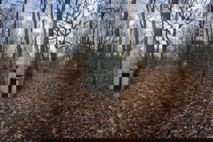 Image /media/mkibj5nq/lukas_horky_moravskoslezske_investice_a_development_9.jpg