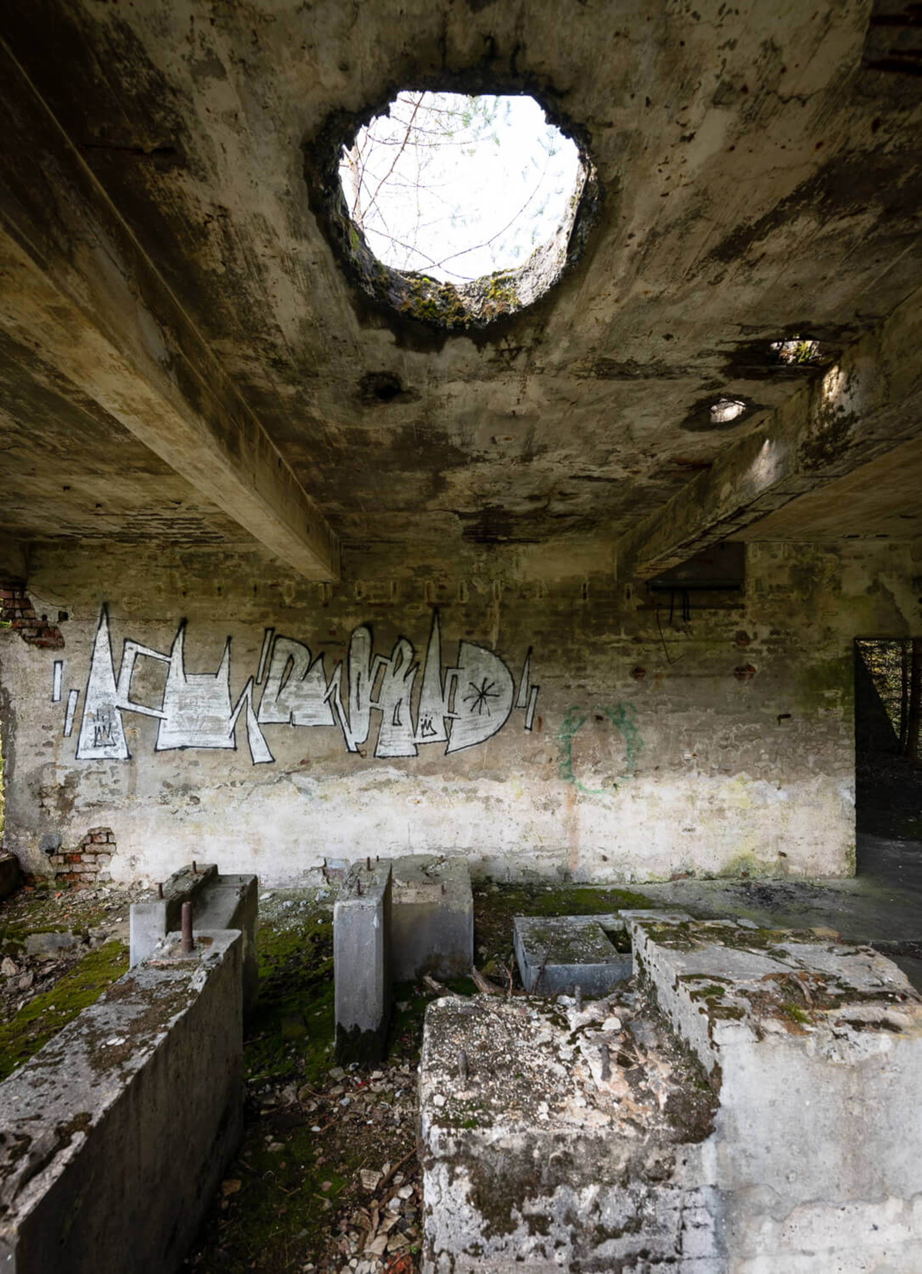 Image /media/modcxcgc/dsc7849.jpg