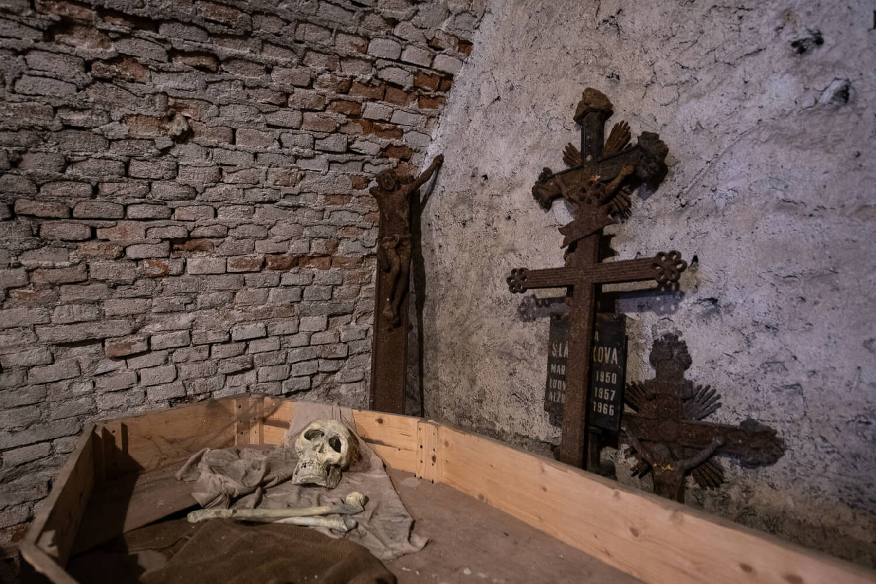 Obrázek /media/mq3dknc1/_dsc9286.jpg