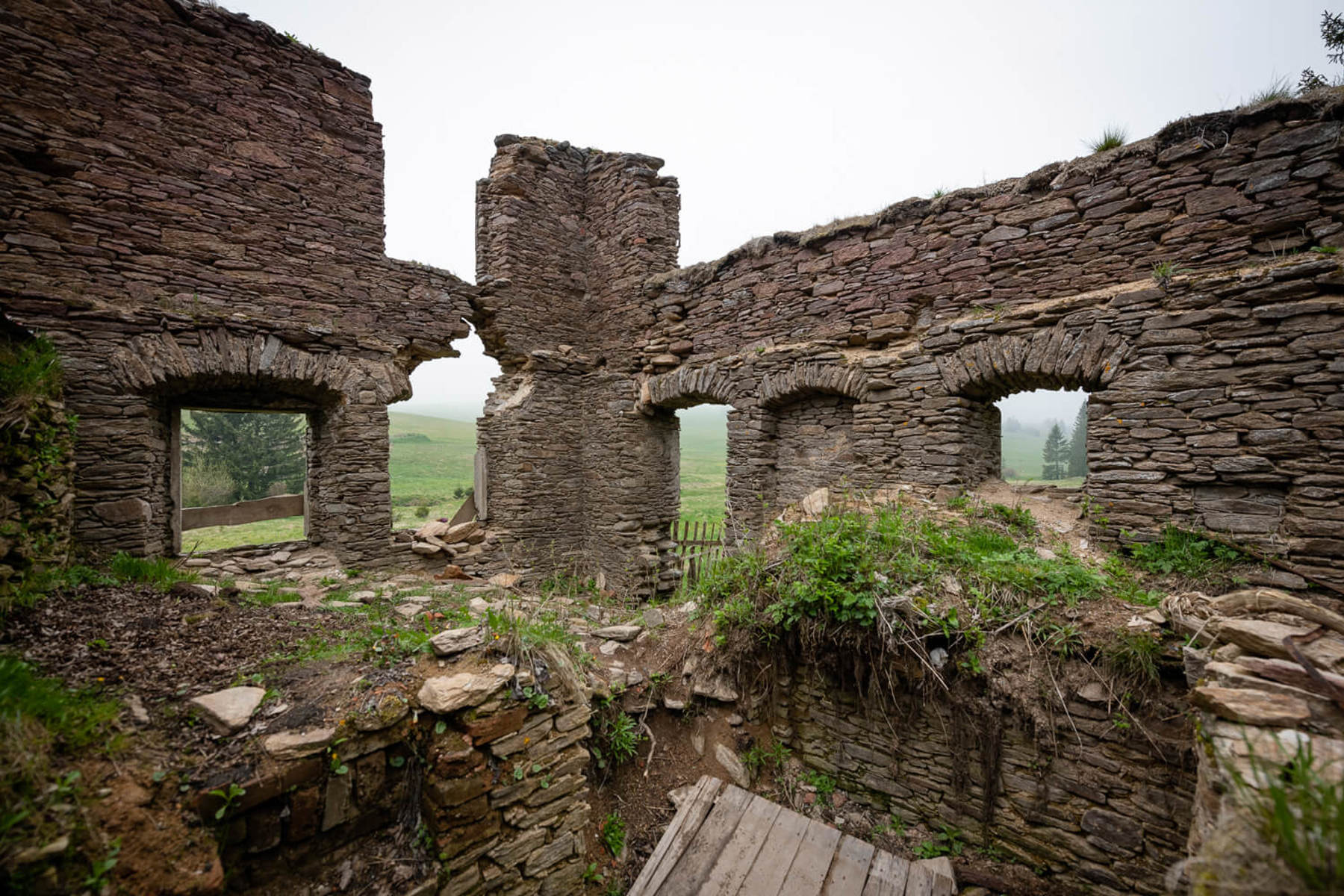 Image /media/mq3fcfm1/dsc8457.jpg