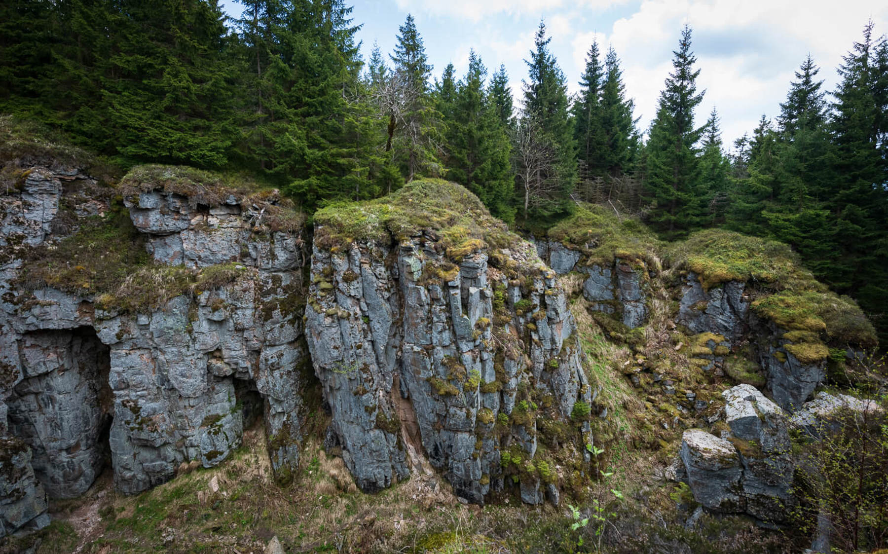 Image /media/msgfikfu/dsc8027.jpg